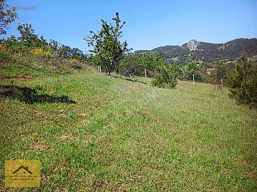GEYVE DEMİRLERDE SATILIK ARSA - SAKARYA GEYVE fotoğraf 3